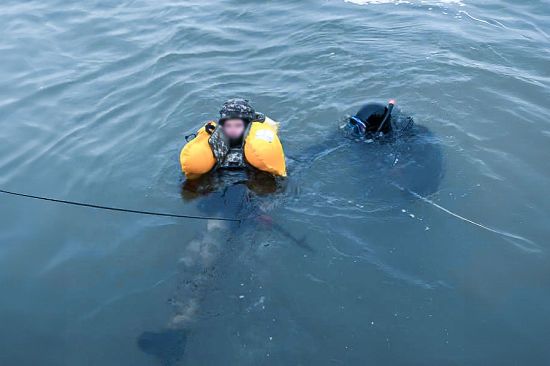 Міноборони випробовує 