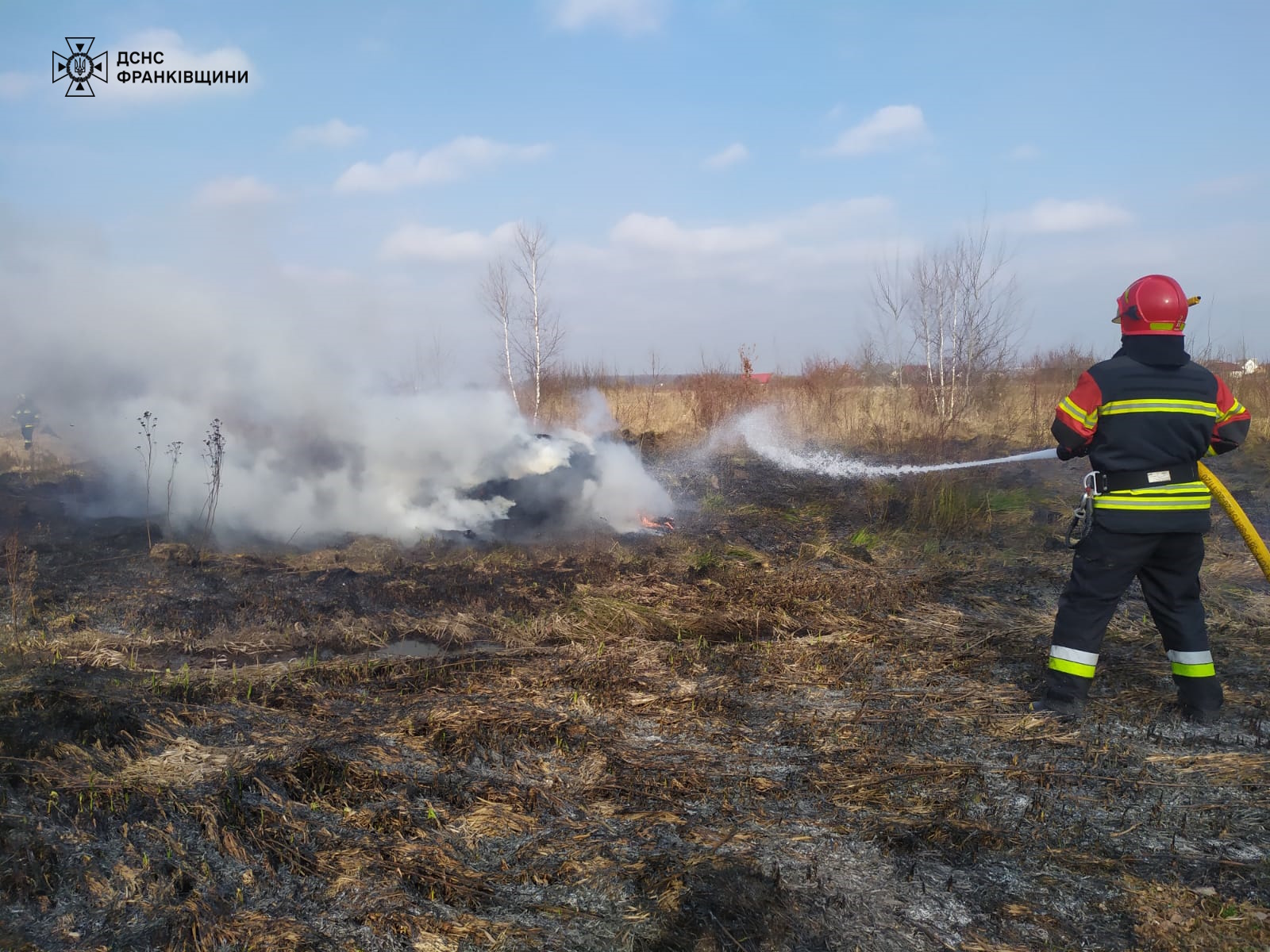 Три масштабні пожежі в екосистемах гасили на Франківщині